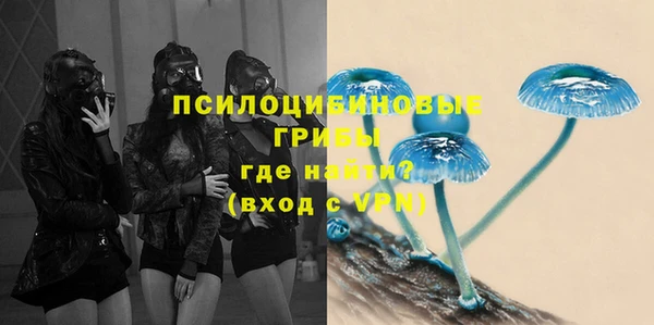 а пвп мука Ельня