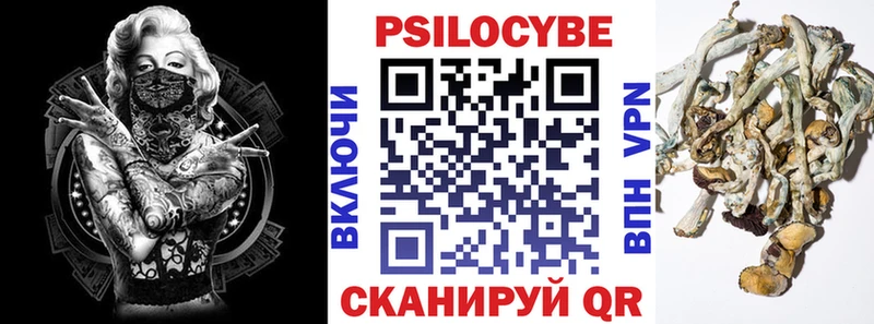 ссылка на мегу как зайти  Новая Ладога  Псилоцибиновые грибы Psilocybe 